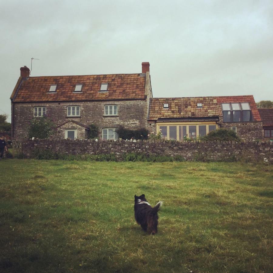 Castle Farm Bed and Breakfast Wedmore Εξωτερικό φωτογραφία